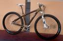 Bamboo grown bike frame