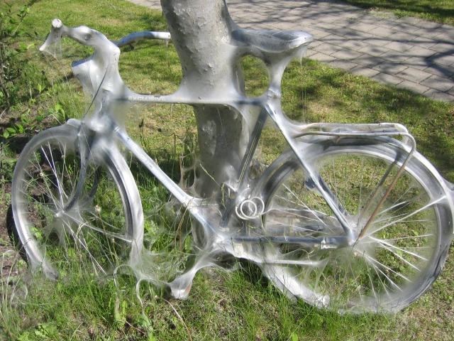 Bicycle covered by web worms